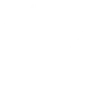 Florales Hintergrundelement mit zarten Ornamenten